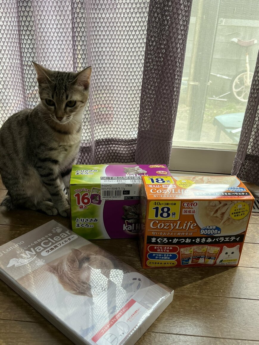 出所：@8rjXhLaRHFwK9l2