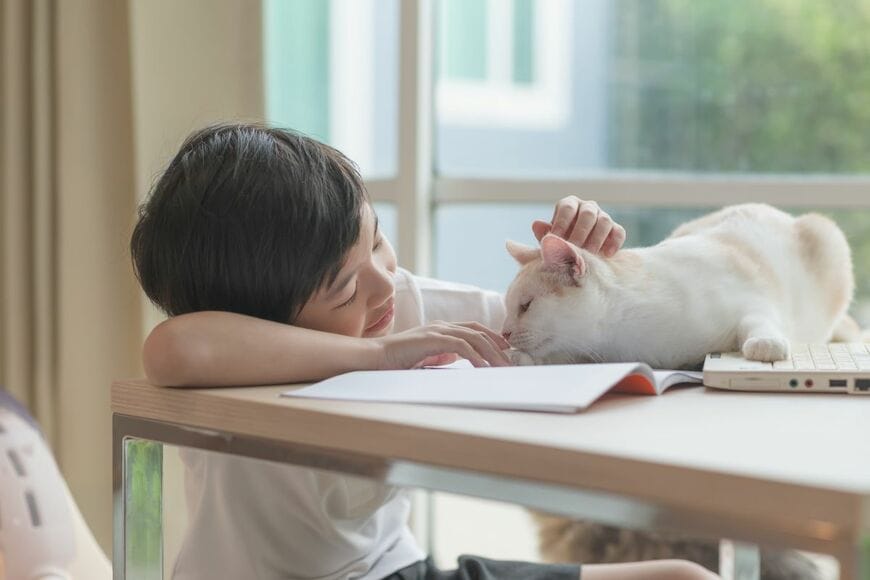 猫に愛を伝える1歳児→猫の「虚無顔」に笑っちゃう！「ぬいぐるみ？（笑） 」とホッコリする人が続出