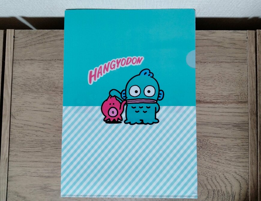 筆者撮影（セリア、A4クリアファイル H/G ポップ）