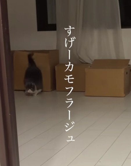 出所：＠maru0920b