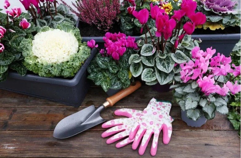 Aygul Bulte/shutterstock.com