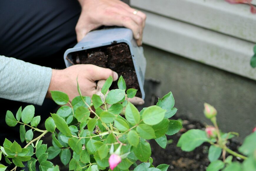 Jaclyn Vernace/Shutterstock.com