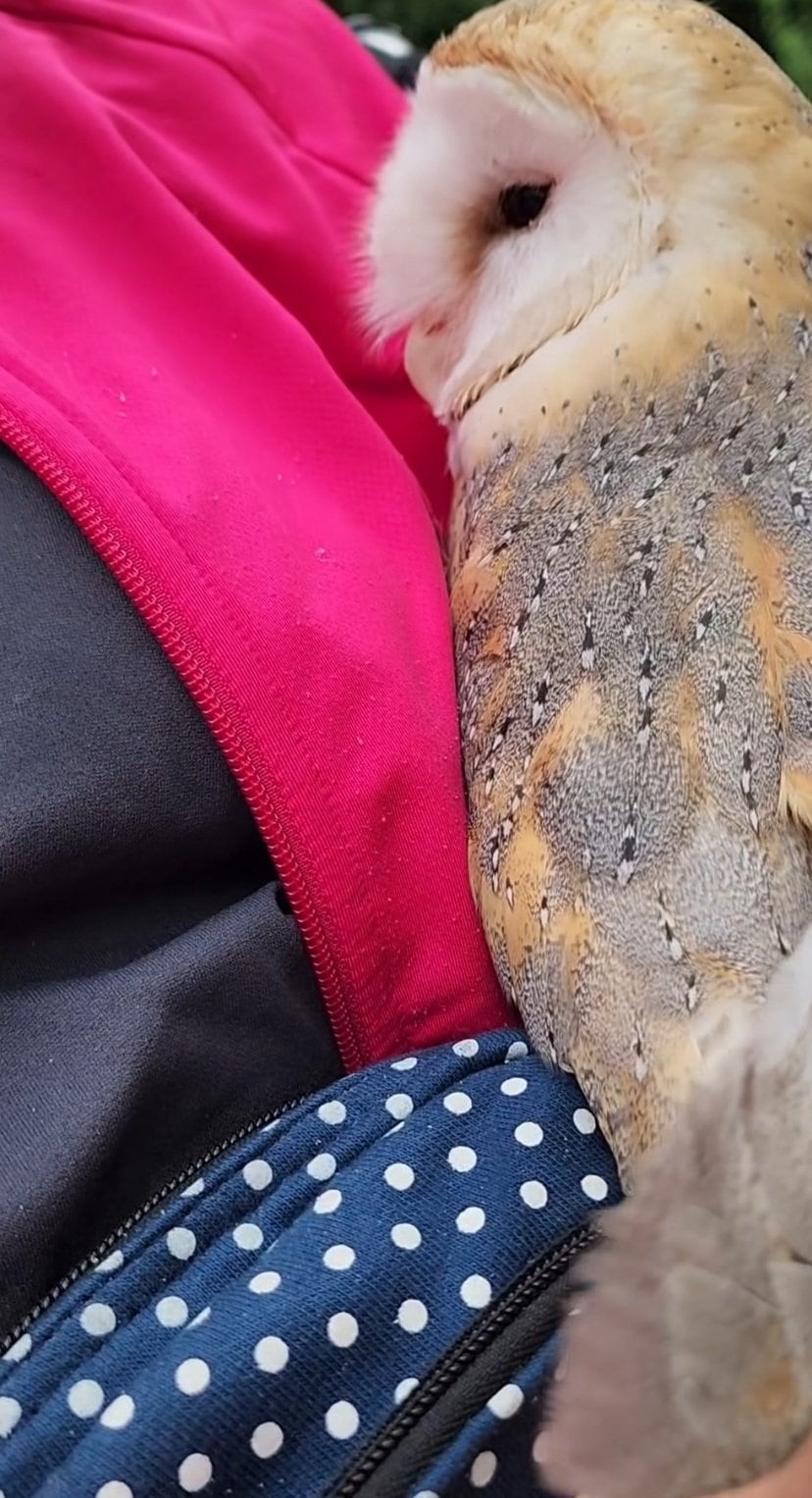 出所：@miki4wan108