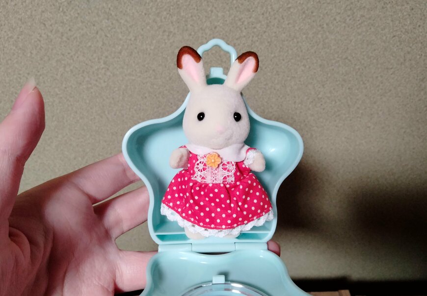 筆者撮影（セリア、ラッピング窓付ケース 星型）