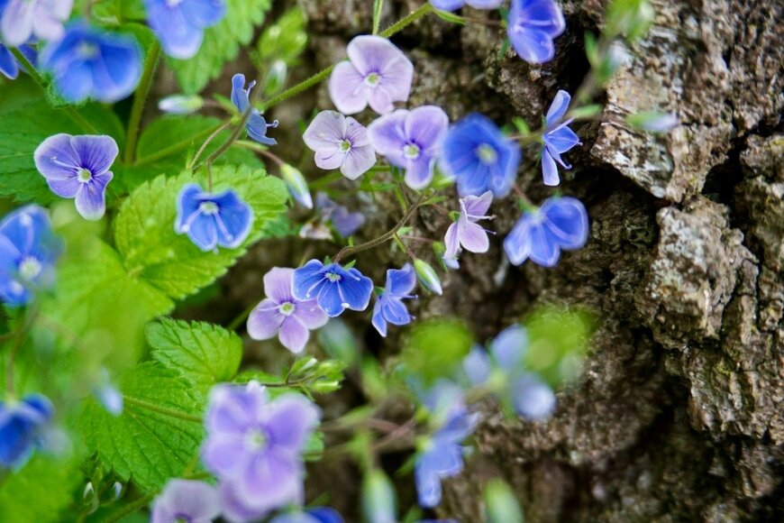 Liudmila Kiermeier/istockphoto.com