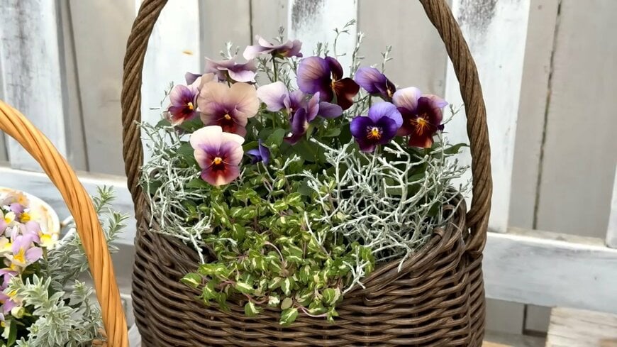 出所：@petit_fleur