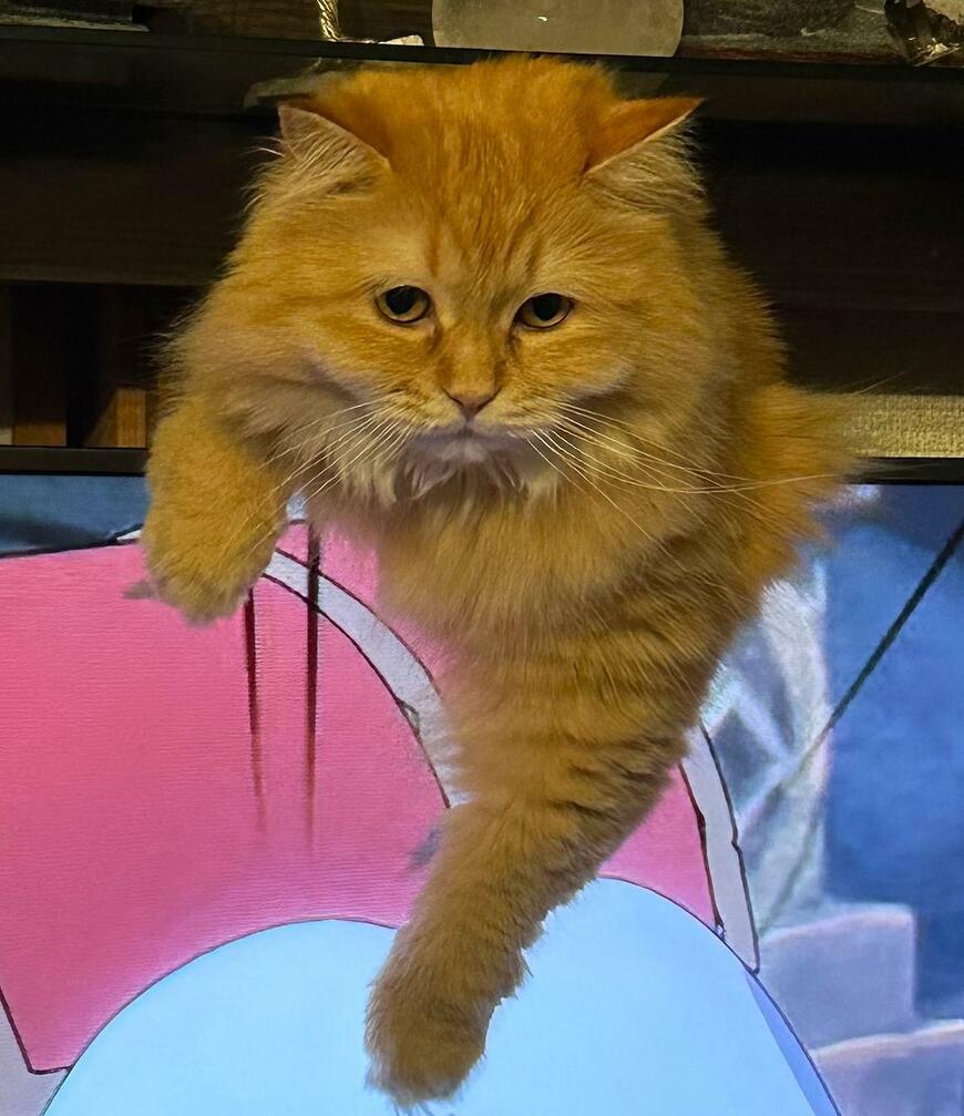 奇跡的なワンシーン