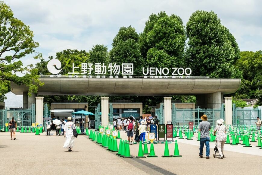 動物園