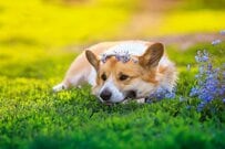 意外と多い「貯金ゼロ世帯」心配な老後のお金、どう貯めるか