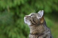 【次の年金支給は4月15日】厚生年金と国民年金「60歳～89歳」ひと月平均いくらもらっている？《一覧表でチェック》