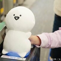 「宝島社初のムック本で大バズり！」3333円のお文具といっしょパスケース「おしりで改札」がシュールすぎ