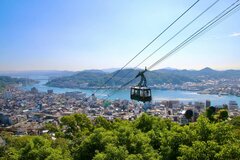 広島県の郷土料理「ワニ刺し」はどんなグルメ？実はワニじゃない。古語に由来する名物の正体とは
