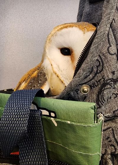 投稿動画のワンシーン