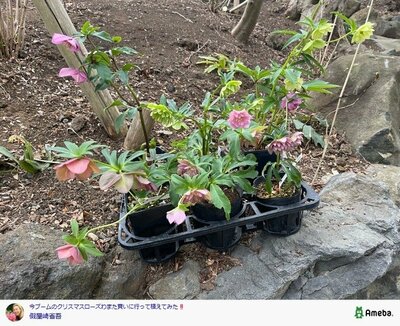 假屋崎省吾の公式ブログ投稿