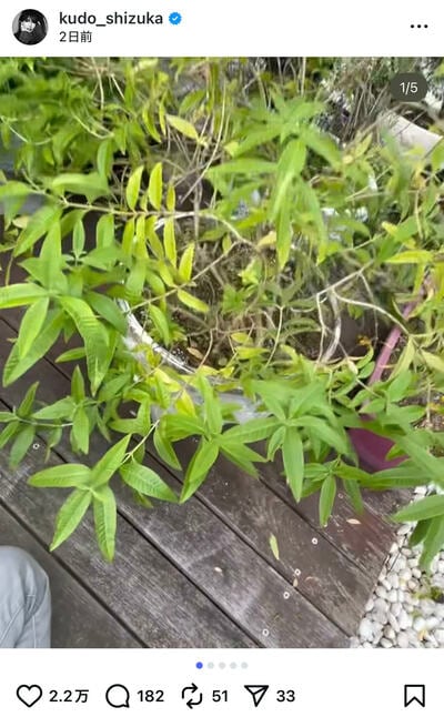 工藤静香のInstagram投稿