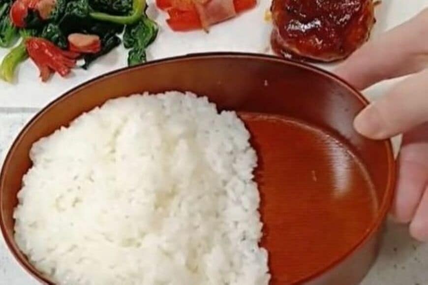 看護師の母が「高校生の息子に作る」2種のハンバーグ弁当　大正義の「茶色弁当」がたまらない…