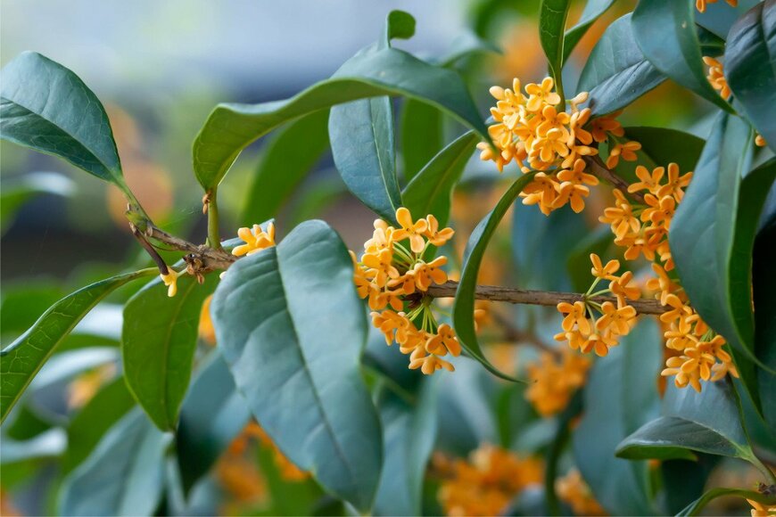 c11yg/istockphoto.com