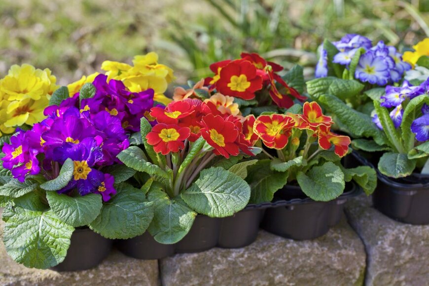 Dirk Ott/shutterstock.com