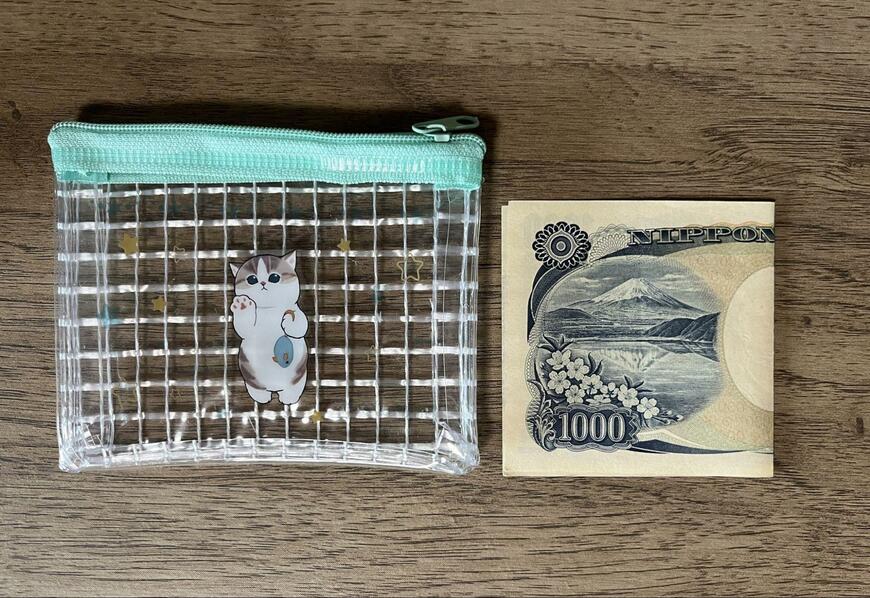 筆者撮影（セリア、mofusand ミニメッシュポーチ）