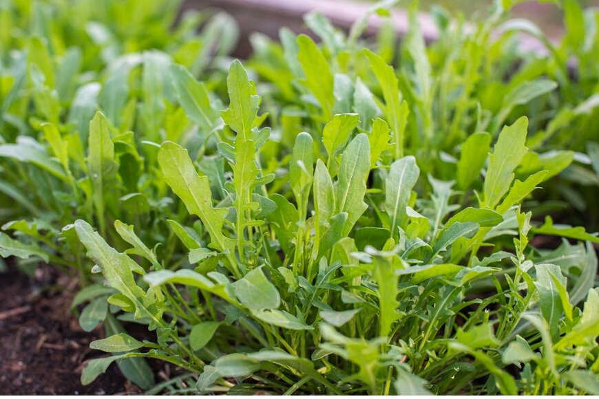 letterberry/istockphoto.com