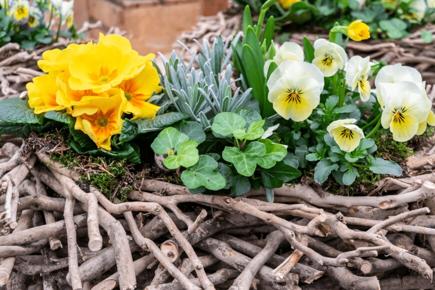 O de R/shutterstock.com