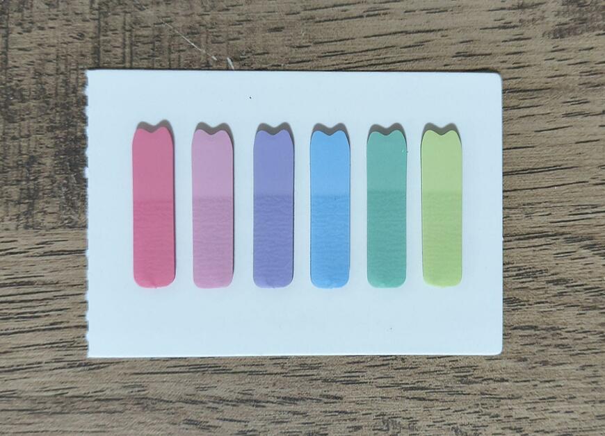 筆者撮影（キャンドゥ、ねこフィルム付箋　20枚×6組）