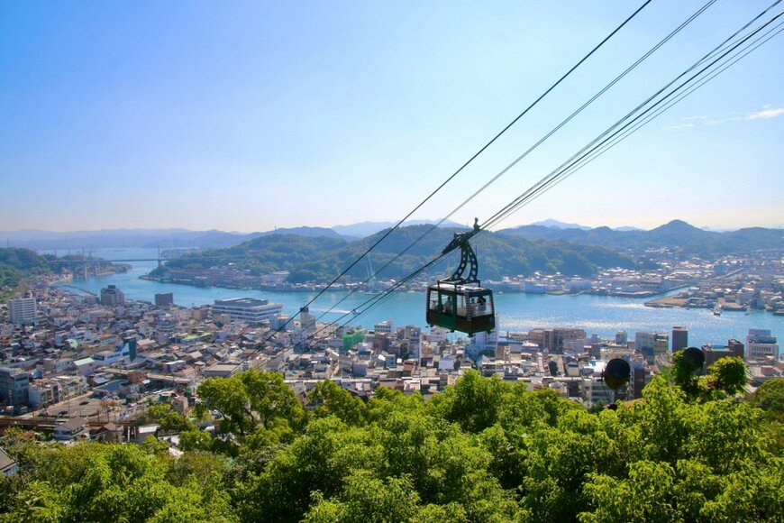 広島県の郷土料理「ワニ刺し」はどんなグルメ？実はワニじゃない。古語に由来する名物の正体とは