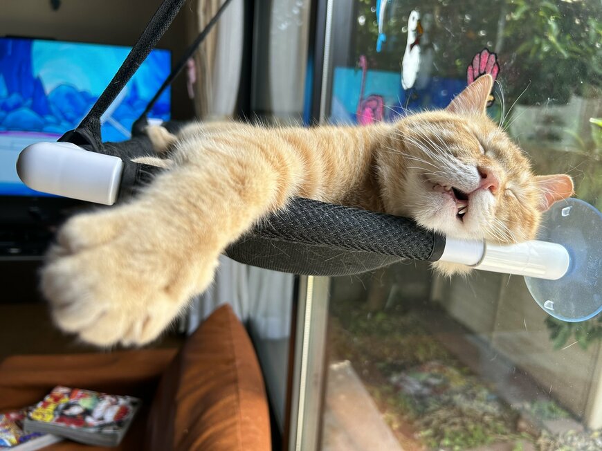 出所：@Beercat_Ana_Dar