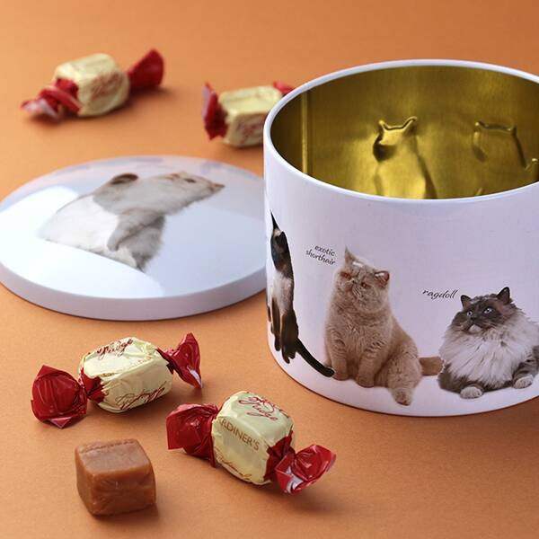 画像出所：カルディ公式