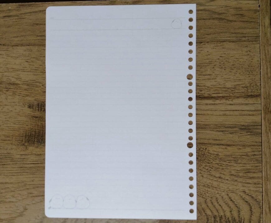 筆者撮影（セリア、B5ルーズリーフ A罫 もふもふばーど 30枚）