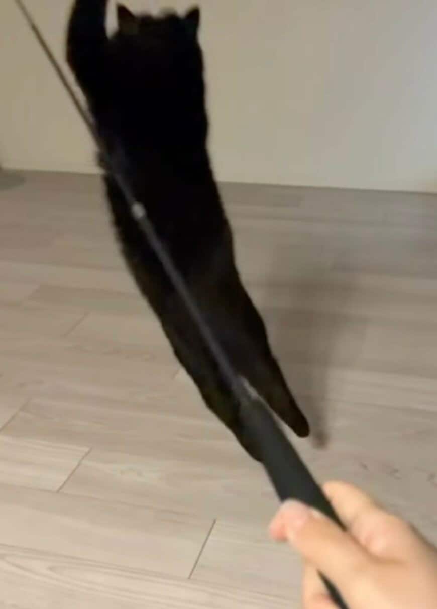 出所：@kotetsu_0420