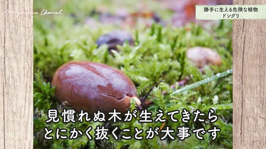 出所：@miyuki.garden