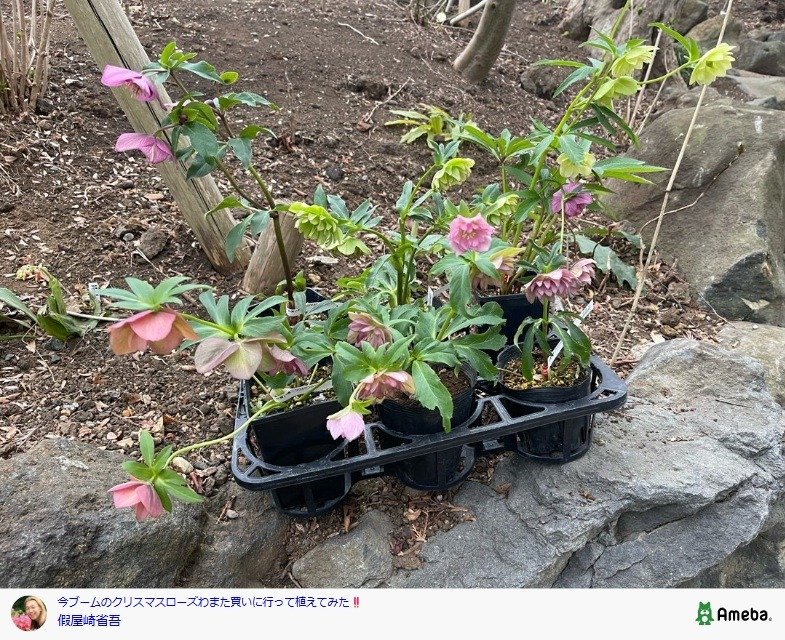 出所：假屋崎省吾の公式ブログ　参照日：2026年3月6日