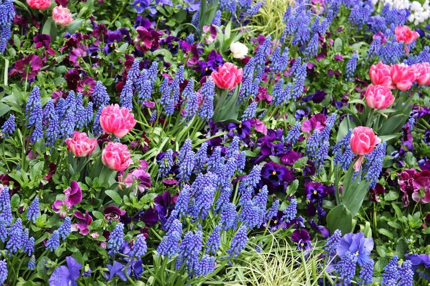 Augenstern/shutterstock.com