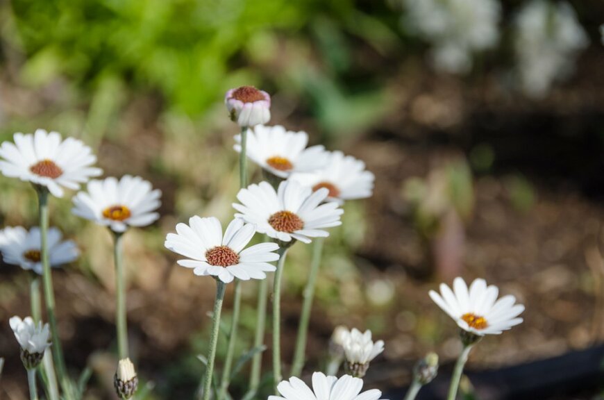 LFO62/shutterstock.com