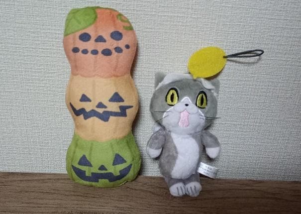 筆者撮影（キャンドゥ、23HW猫用またたび入りおもちゃ）