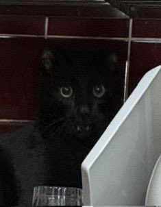 出所：@00shitemita