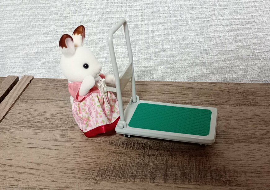 筆者撮影（キャンドゥ、ミニチュア台車）