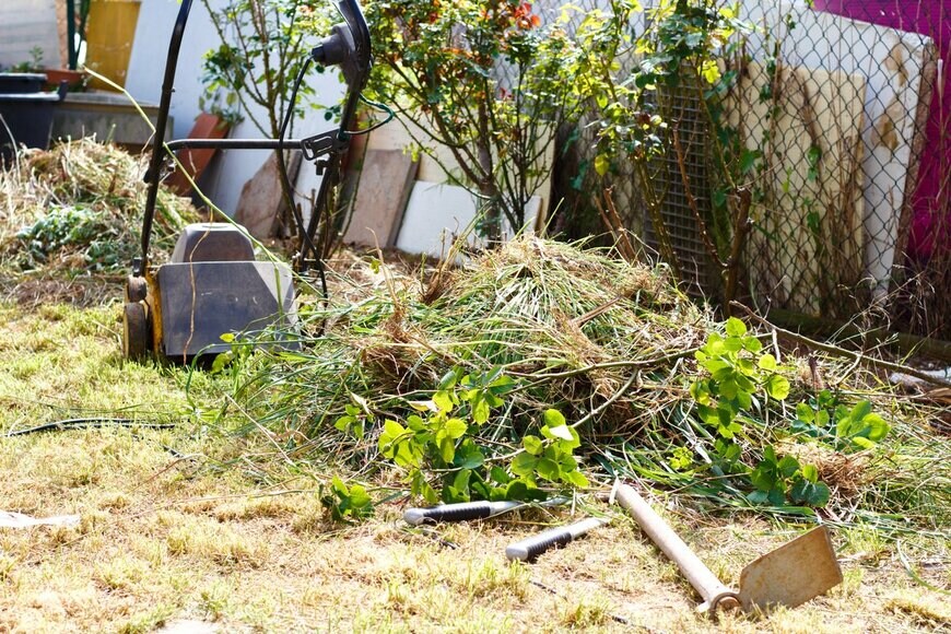 Leobrave/Shutterstock.com