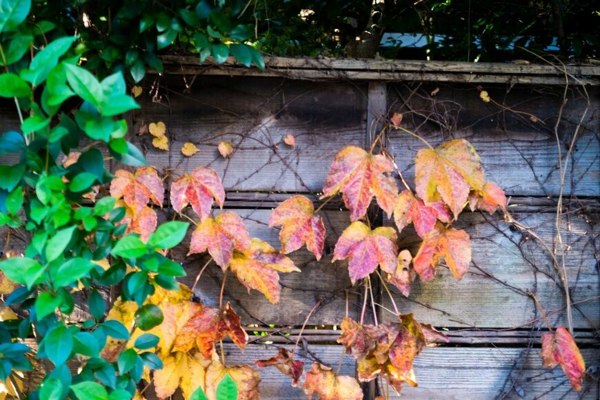 GI15702993/istockphoto.com