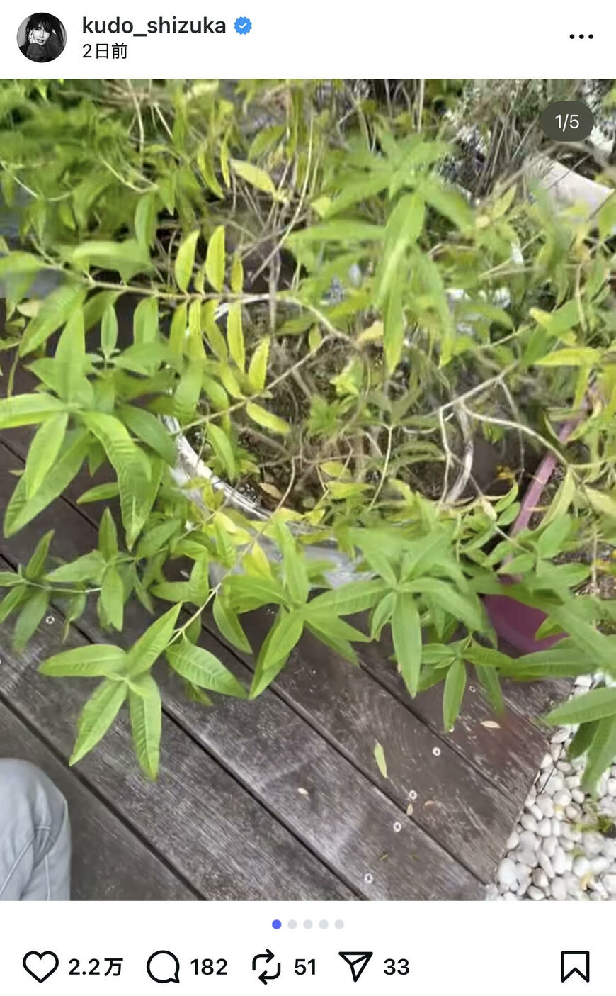 出所：工藤静香のInstagram（＠kudo_shizuka）参照日：2025年9月29日