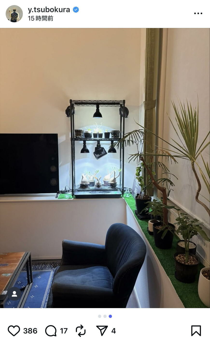 出所：坪倉由幸のInstagram（＠y.tsubokura）参照日：2025年10月21日