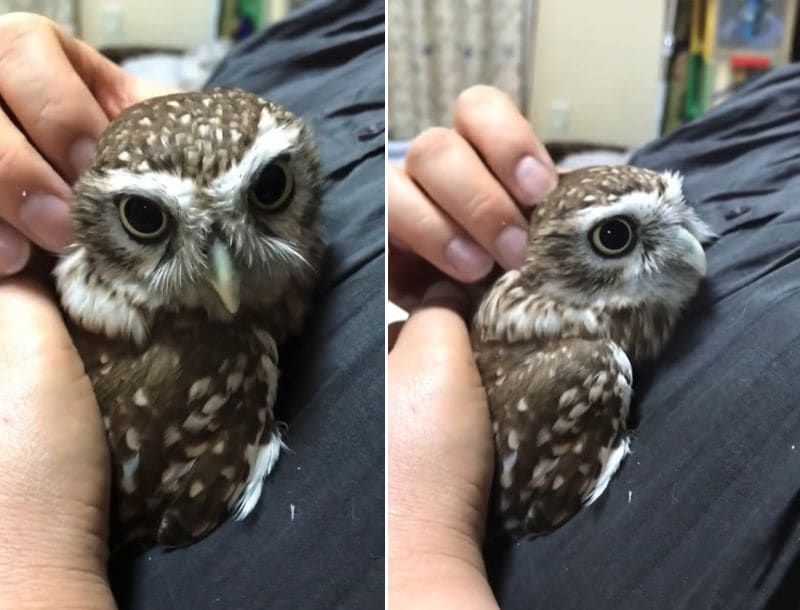 出所：@cr8673.hiro