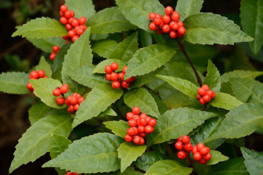 High Mountain/shutterstock.com