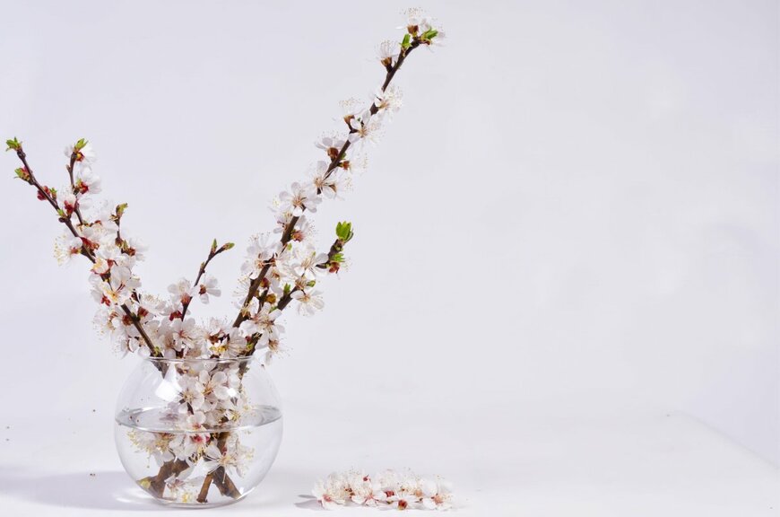 NcikName/shutterstock.com