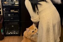 妻「取り憑いてるのとってぇ！」猫との和むやりとりが5万バズ！