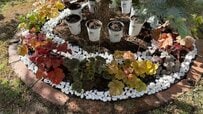 今すぐできる夏前の雑草対策！約500円の〈ホワイトストーン〉でいつもの花壇を素敵にアレンジ。「簡単なひと手間」で、花も草もさらに美しく