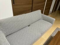 「自宅のソファー」に強烈な違和感　くつろいでいた小さな生物が「食べこぼれたおはぎのよう」