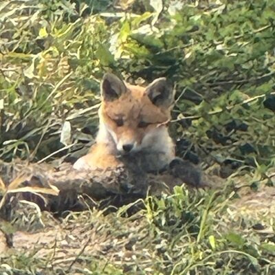 投稿の画像