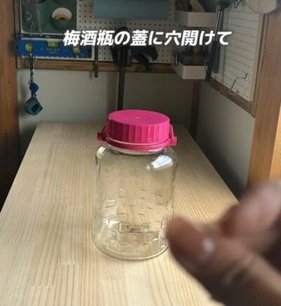 投稿の画像